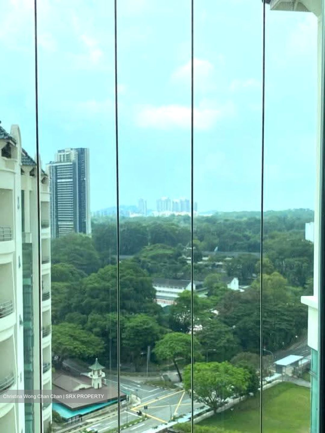 Tanglin Regency (D10), Condominium #612495571